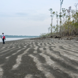 Jamtola Sea Beach