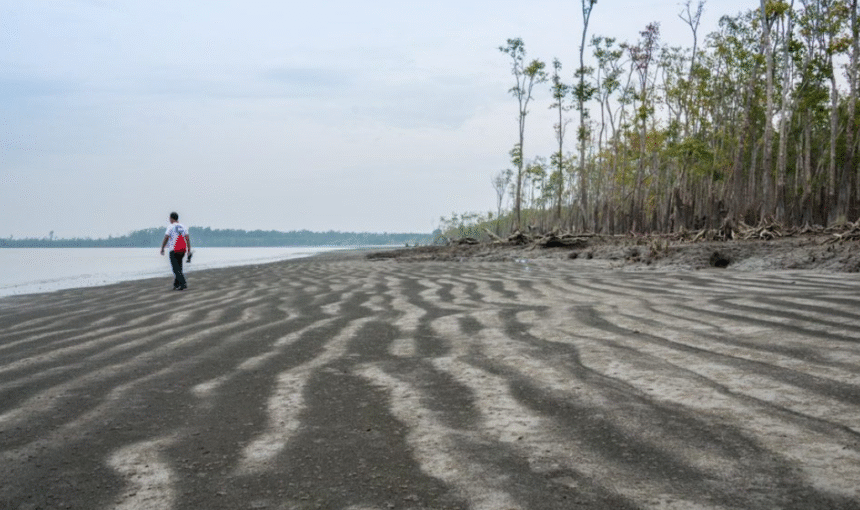 Jamtola Sea Beach in Sundarban