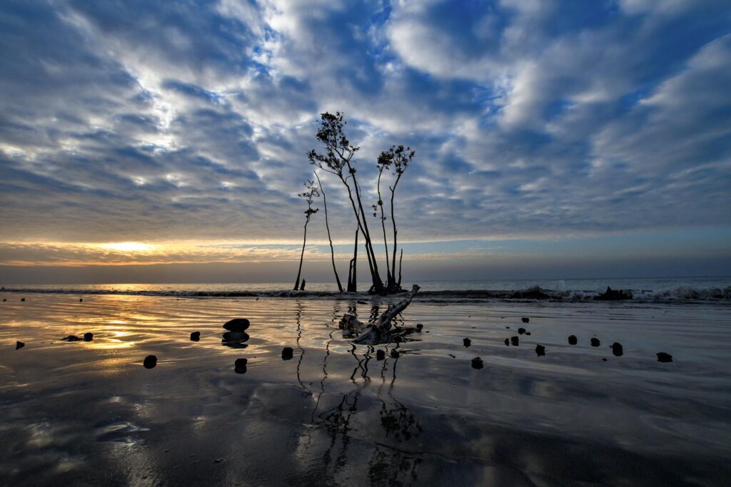 Jamtola Sea Beach
