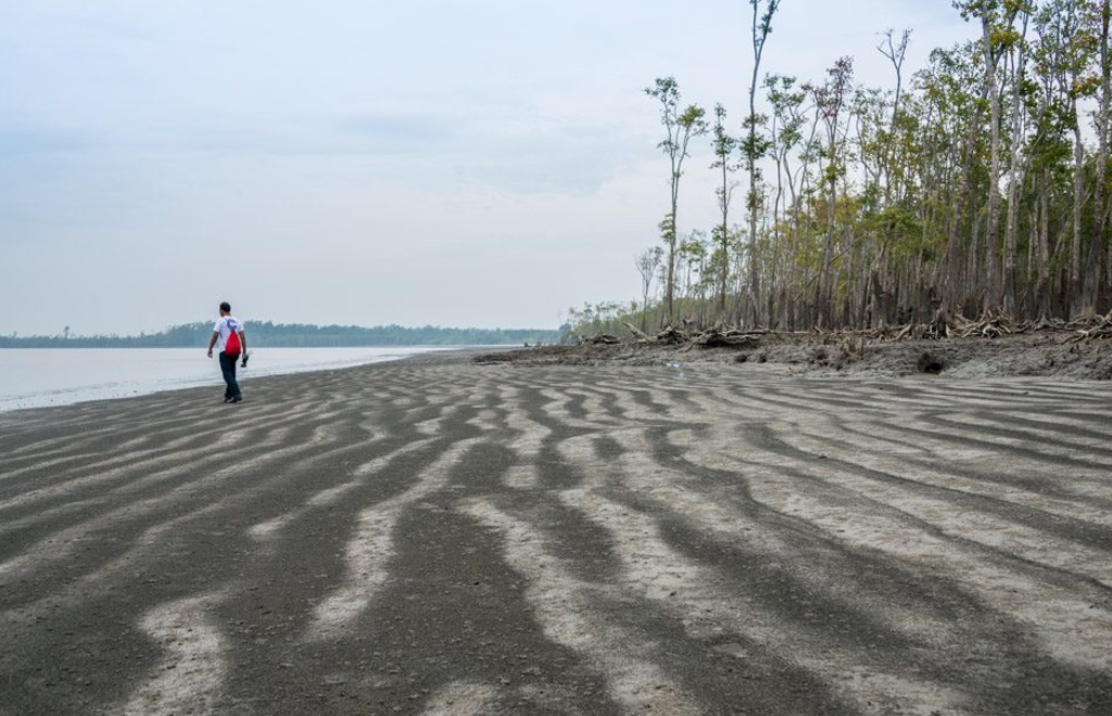 Jamtola Sea Beach in Sundarban
