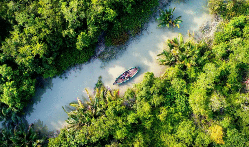 Sundarban Tour Package
