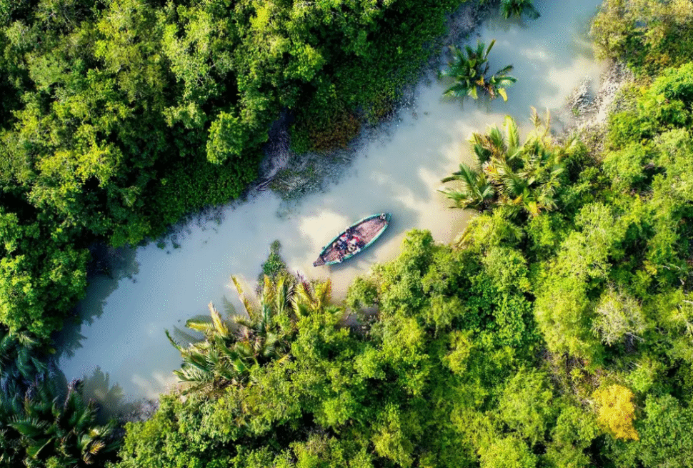 Sundarban Tour Package