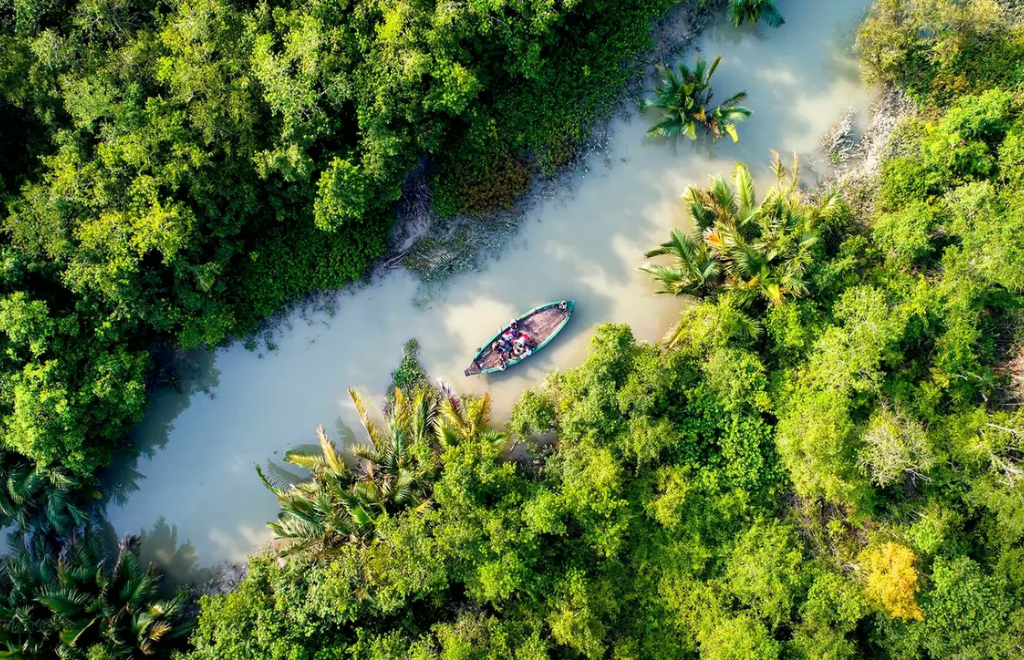 Sundarban Tour Package
