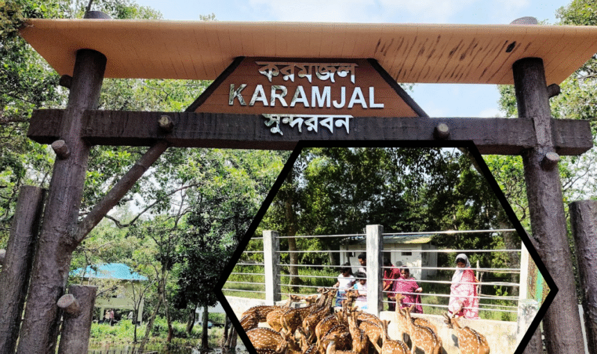 A Day in Karamjal Gateway to the Mystical Sundarbans
