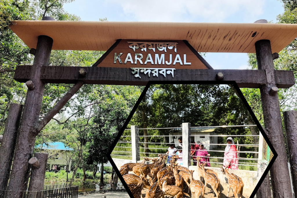 A Day in Karamjal Gateway to the Mystical Sundarbans