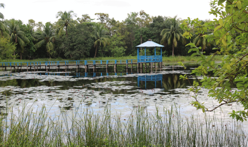 Harbaria Eco Tourism Center in the Sundarbans