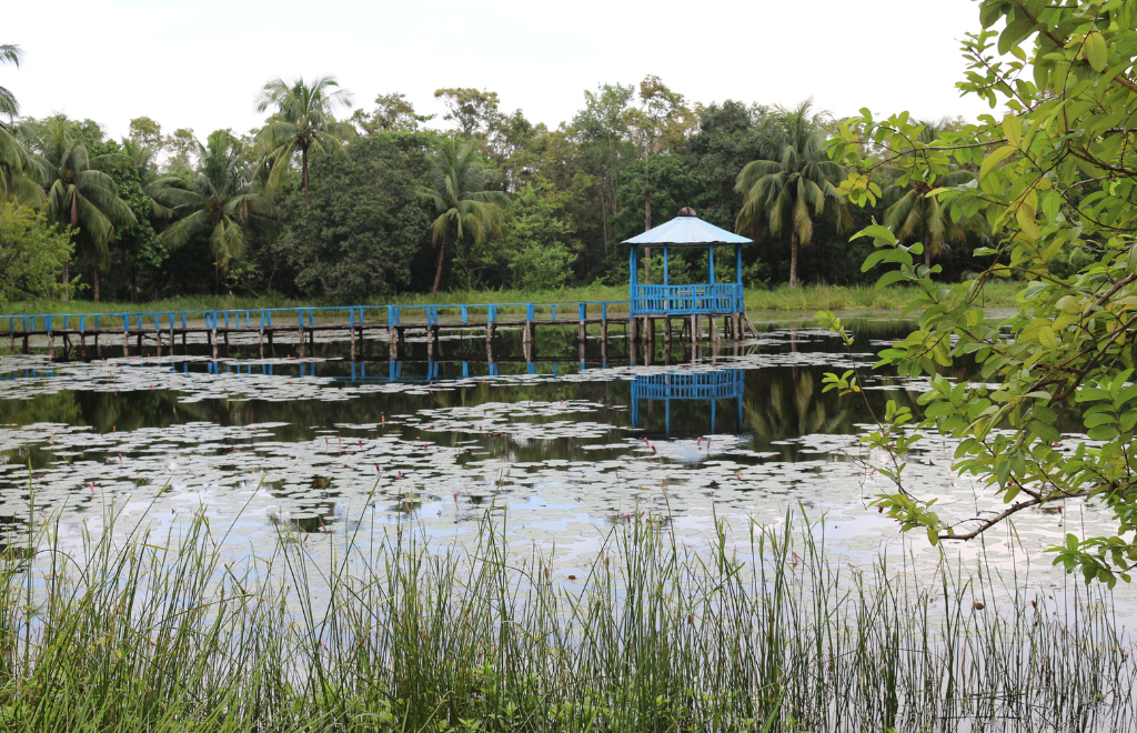 Harbaria Eco Tourism Center in the Sundarbans