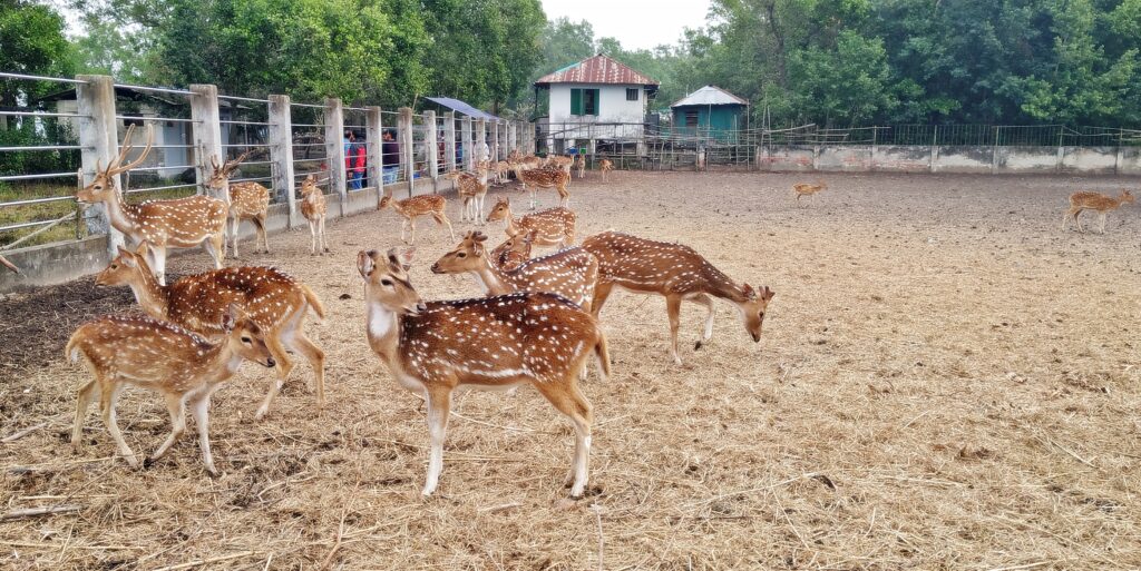 Karamjal