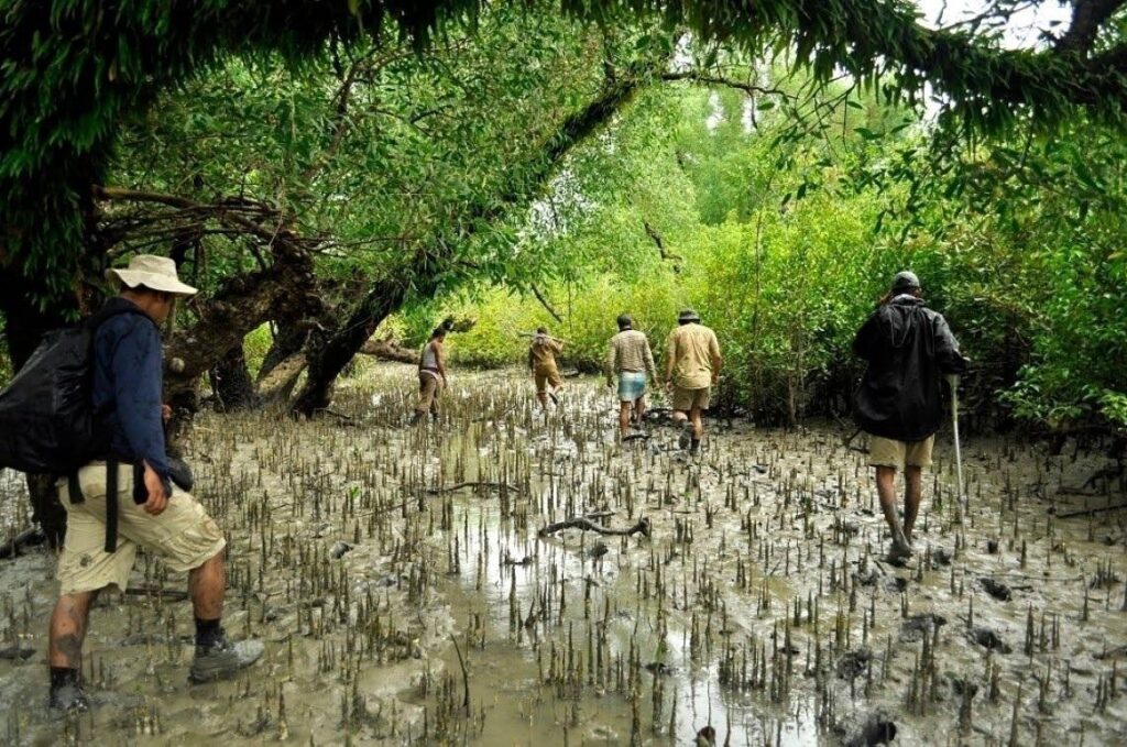 Sundarban Tour Package