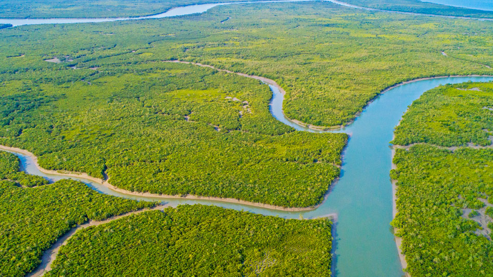 Sundarban Tour Package