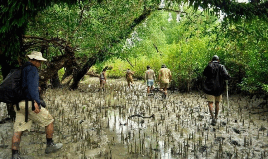 Sundarban Tour from Khulna