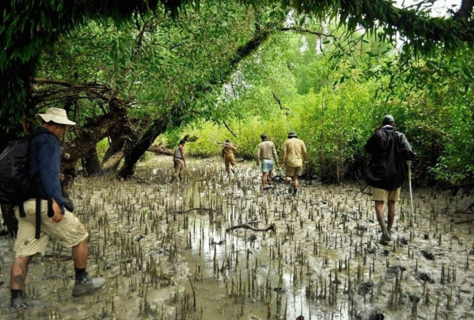 Sundarban Tour from Khulna