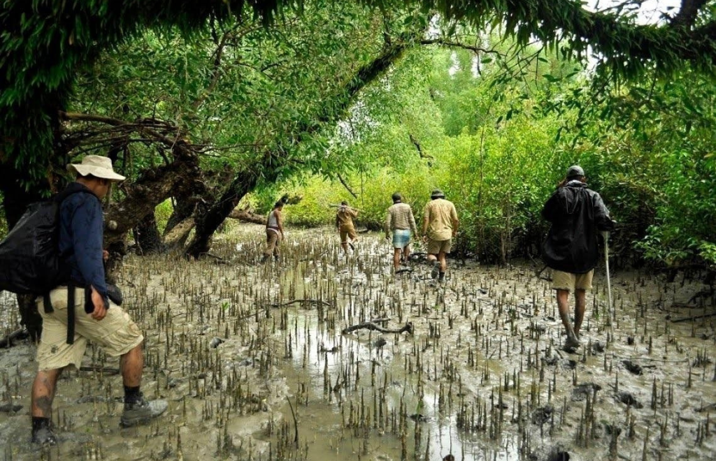 Sundarban Tour from Khulna
