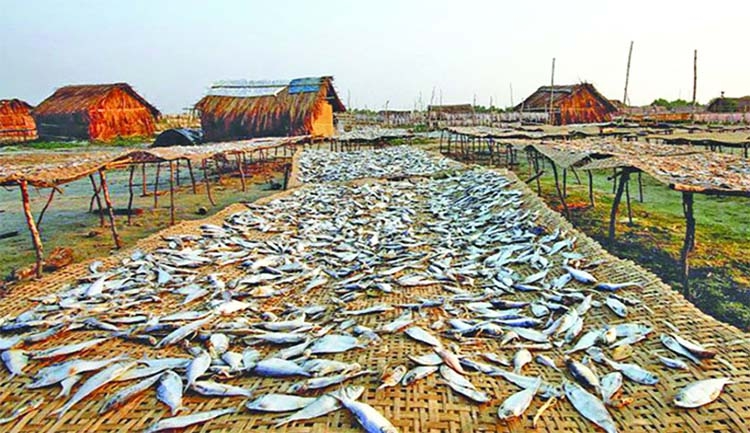 দুবলার চর ও শুঁটকি পল্লী