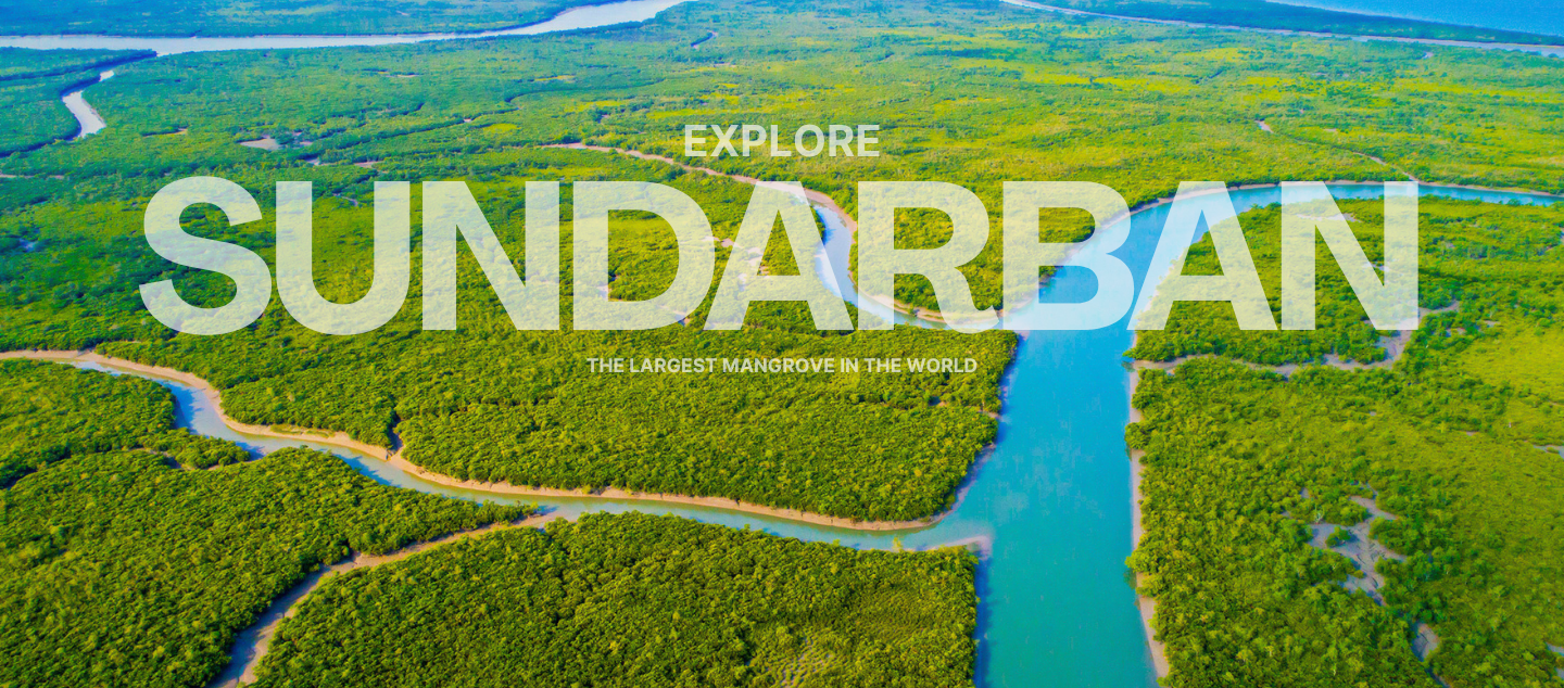 Sundarban Tour