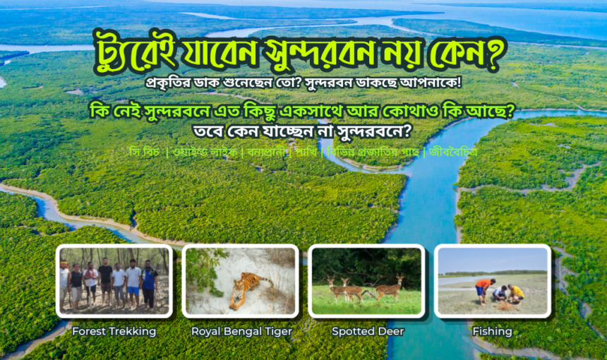 সুন্দরবন ভ্রমণ