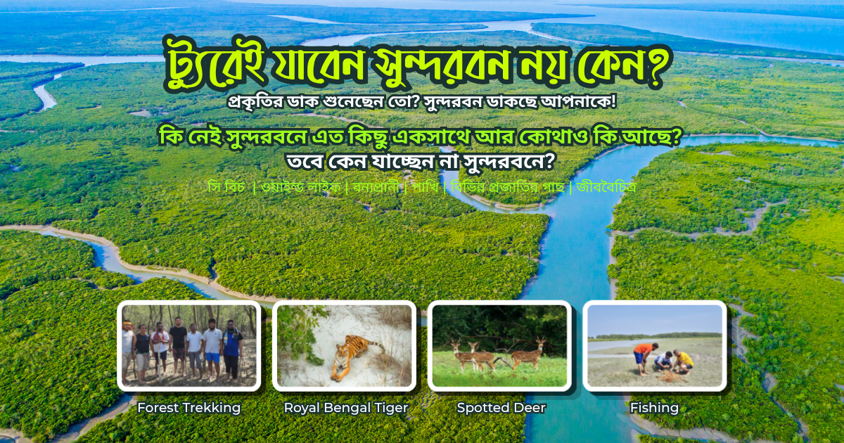 সুন্দরবন ভ্রমণ